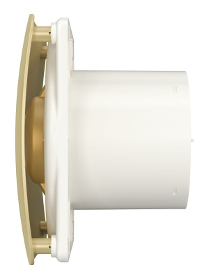 Вентилятор накладной RIO D125 обр.клапан Champagne DICITI